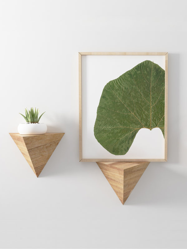 Herbier Légumes du potager – Image 2