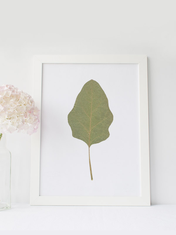 Herbier Légumes du potager – Image 4