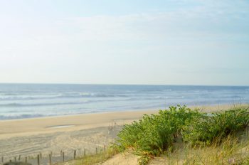 Paysage océanique vu de la dune, image maritime haute résolution libre de droits à télécharger / Bord de mer, Marin, Nature, Plage, Côte Atlantique, Sable