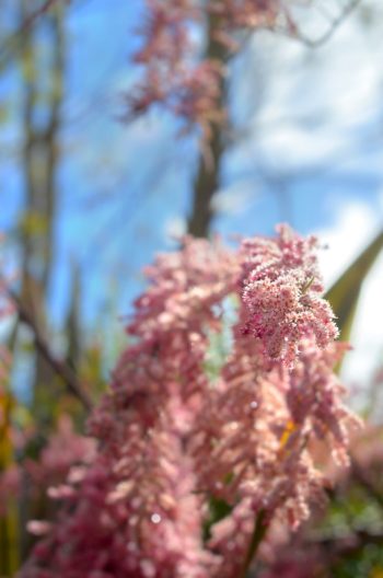 Creative Lune • photo Tamaris à télécharger