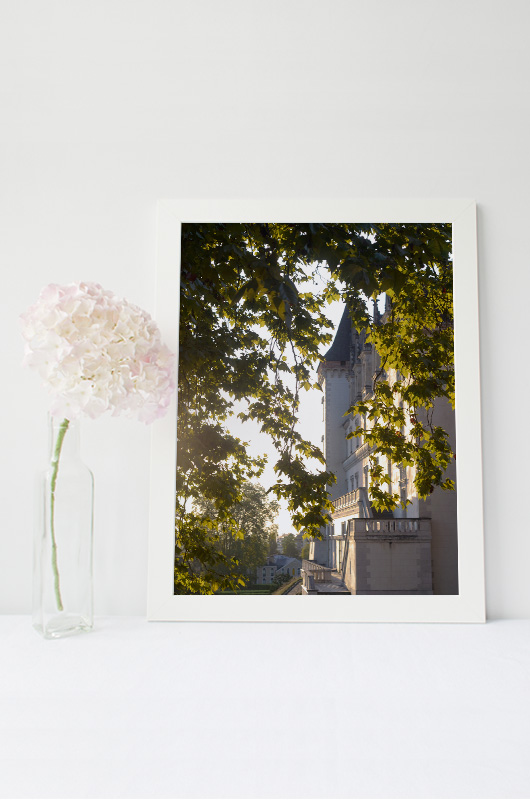 Château béarnais depuis la ramure d'un platane – Image 2