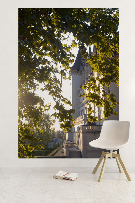 Château béarnais depuis la ramure d'un platane – Image 3