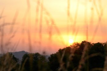 Nature sauvage au soleil couchant • Photo de paysage • Libre de droit