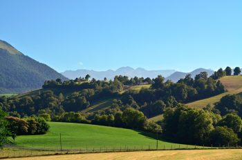 Paysage pyrénéen et vallée d'Ossau • Photo Béarn libre de droits à télécharger / Paysage des Pyrénées en été - Image originale Creative Lune