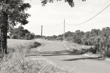 Route de campagne en été • Photographie paysagère libre de droits à télécharger / Image de paysage champêtre et bucolique en noir et blanc - Creative Lune