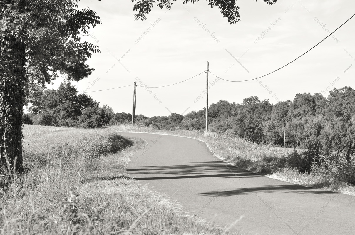 Route de campagne en été • Photographie paysagère libre de droits à télécharger / Image de paysage champêtre et bucolique en noir et blanc - Creative Lune