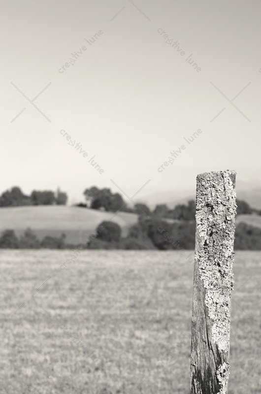 Paysage champêtre et piquet de bois • Photographie noir et blanc libre de droits à télécharger