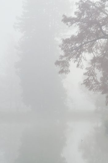 Paysage hivernal et brouillard sur l'eau - photo libre de droits à télécharger • Creative Lune