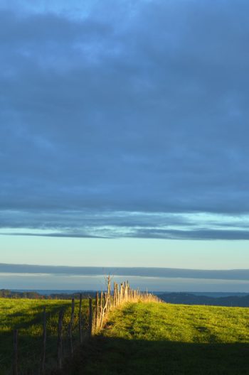 Éclaircie matinale sur un pré - image de campagne libre de droits à télécharger / Photo d'une éclaircie par temps nuageux • Creative Lune