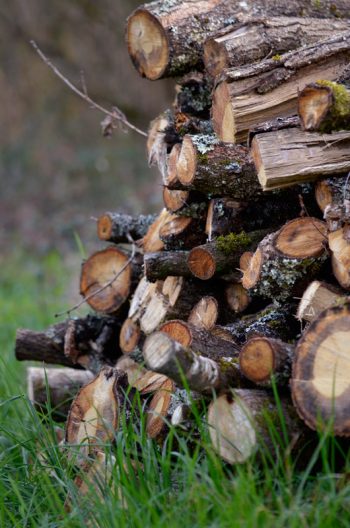 Tas de bois rustique - image HD libre de droits à télécharger • Creative Lune