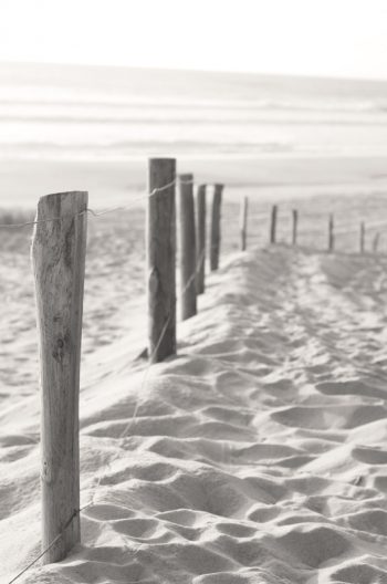 Piquets de bois dans le sable - image libre de droits de la dune landaise • Creative Lune