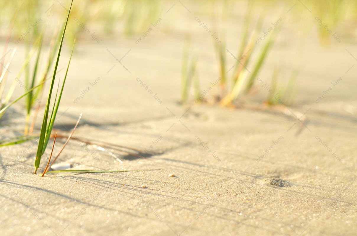 Bord de mer, lot de 3 photographies – Image 4