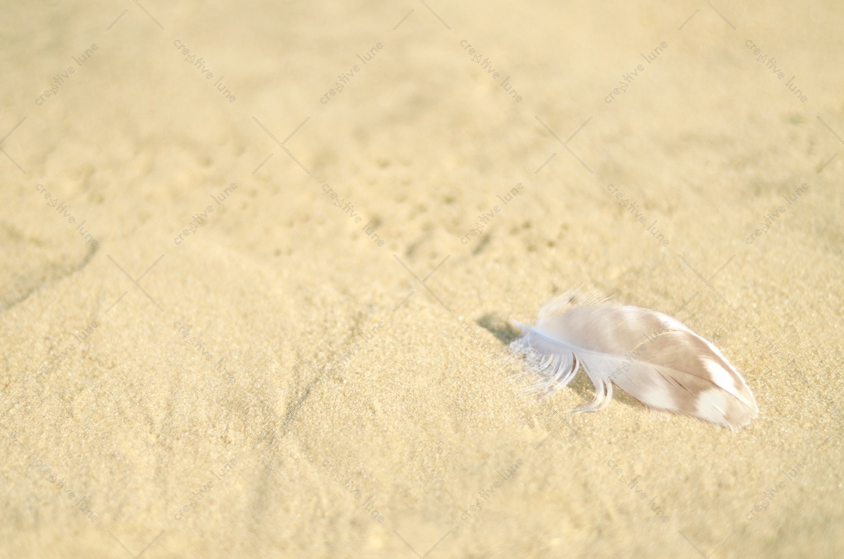 Bord de mer, lot de 3 photographies – Image 2