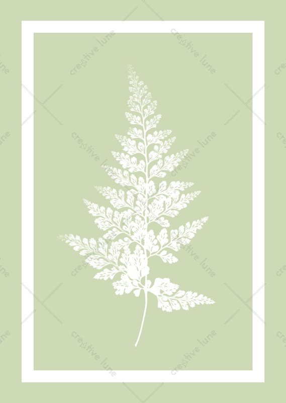 Carotte sauvage sur fond turquoise - affiche Nature • Creative Lune