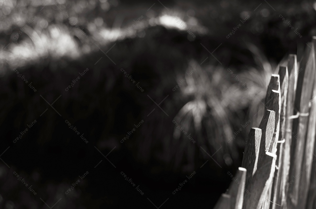 Ganivelle en bois en milieu naturel - photo Noir et blanc • Creative Lune