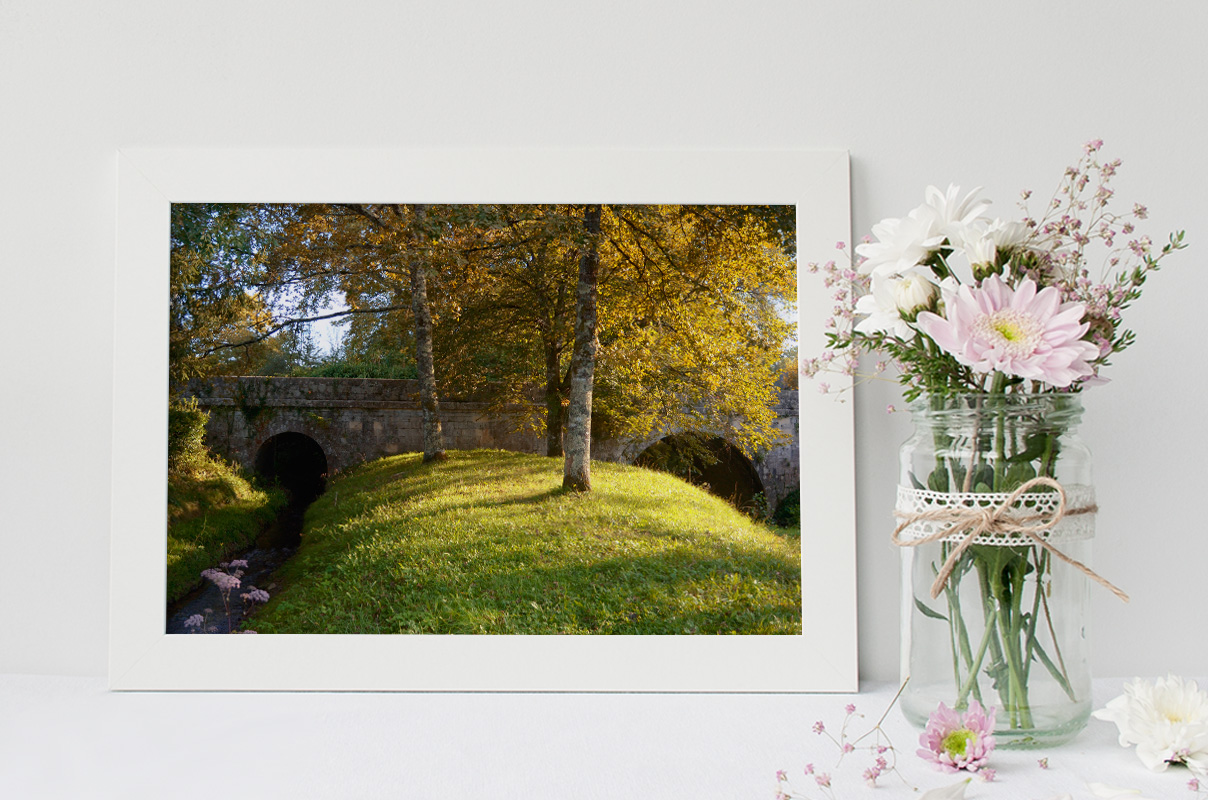 Paysage arboré et pont de pierre – Image 2
