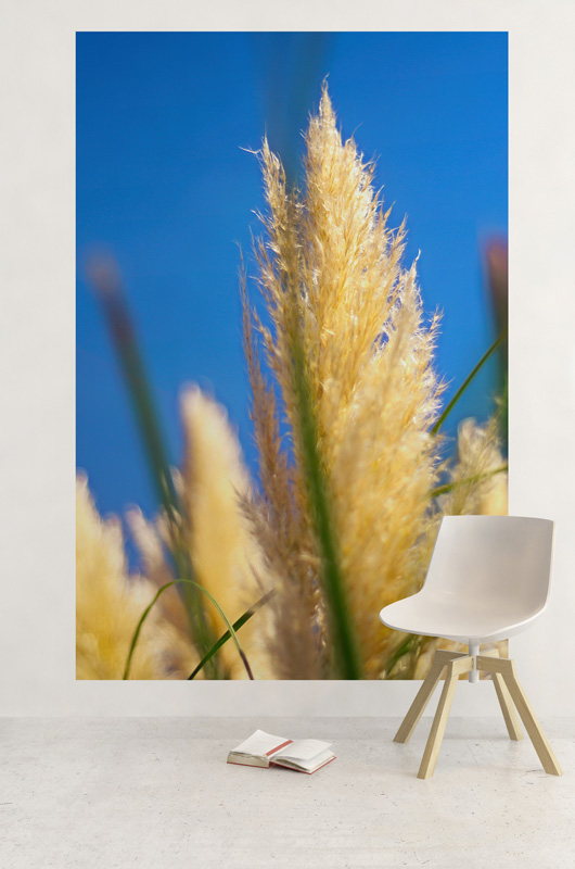 Herbe de la Pampa (détail), lot de 3 photographies – Image 3