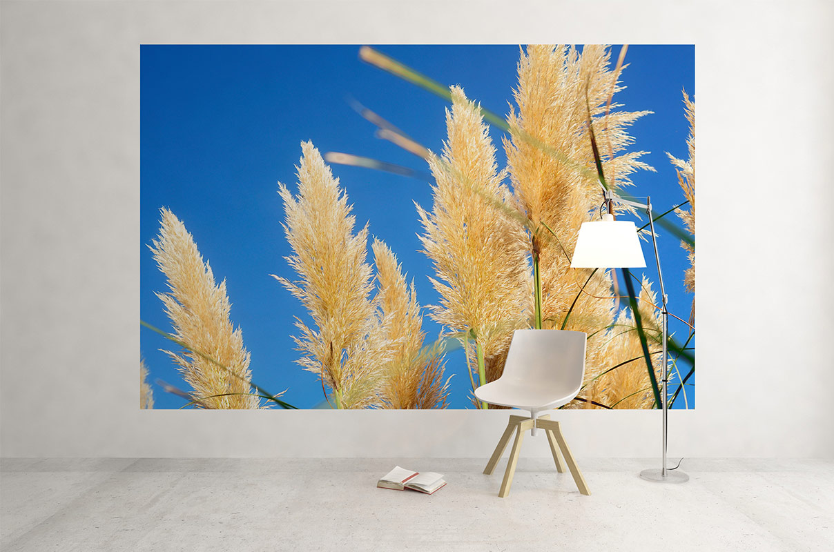 Herbe de la Pampa (détail), lot de 3 photographies – Image 7