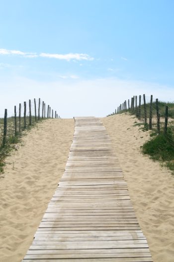 Vers l'océan - photo Landes libre de droits • Creative Lune