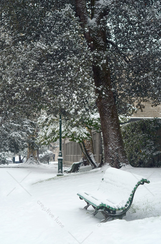 Chemin enneigé en ville, photographie haute résolution d'un chemin arboré longeant un bâtiment après une chute de neige.