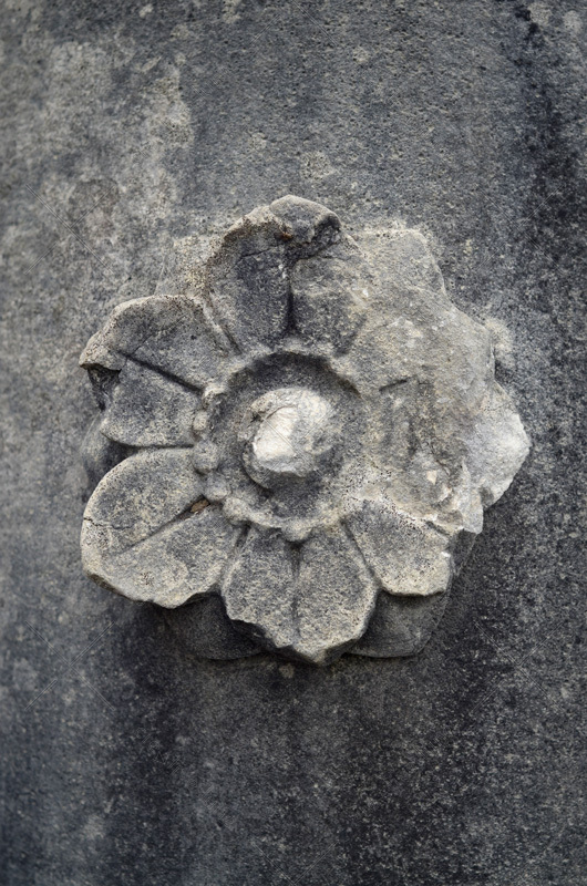 Détail architecture : Fleur taillé dans la pierre, photographie haute résolution d'un élément ornemental en pierre.