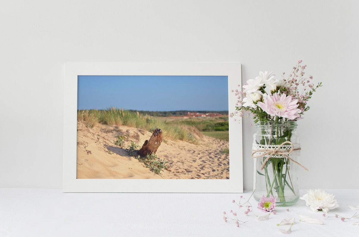 Vieux Bois sur la Dune – Image 2