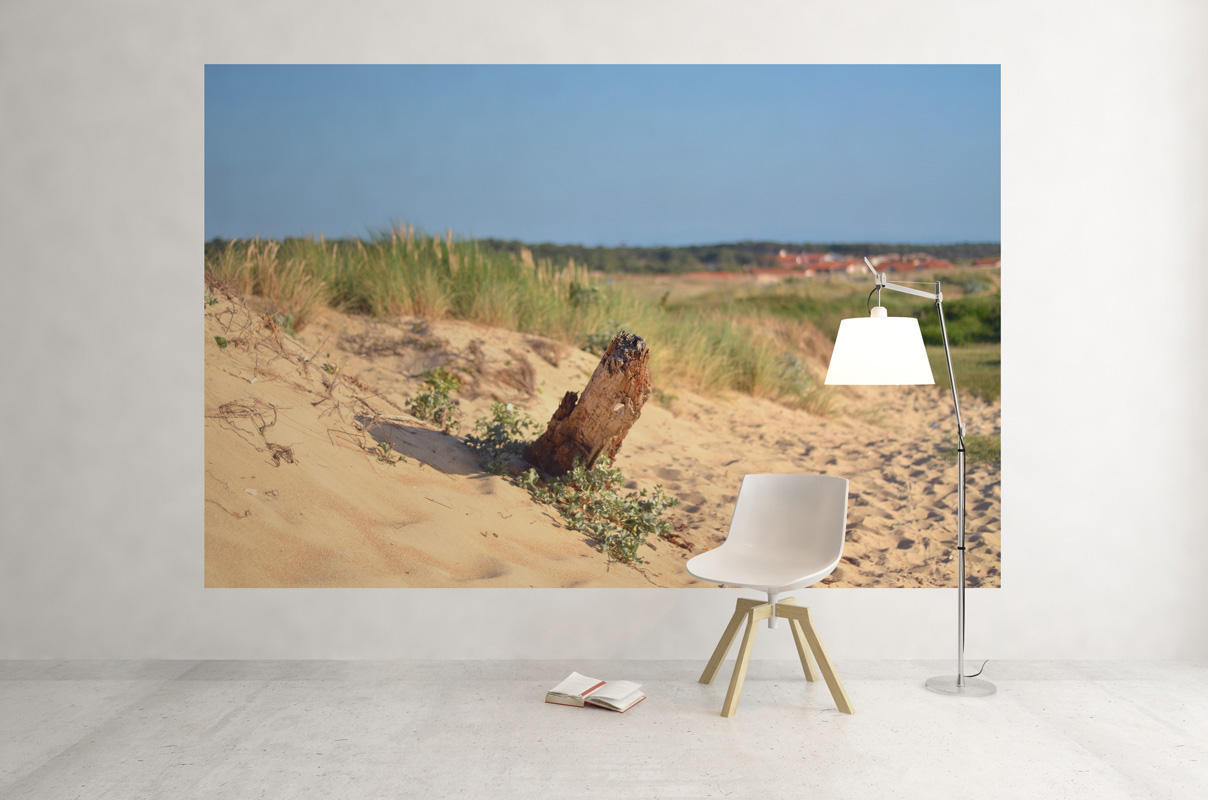 Vieux Bois sur la Dune – Image 3