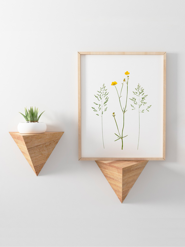 Herbier Fleurs d'été et graminées – Image 3