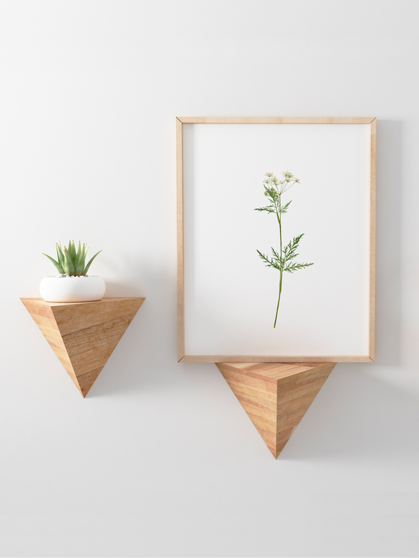 Herbier Fleurs sauvages blanches – Image 3
