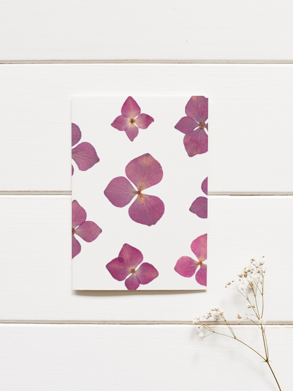 Herbier Hortensia rose – Image 3