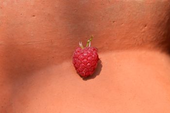 Framboise d'été • Photo de fruit à télécharger d'une framboise fraichement cueillie posée sur une poterie en terre cuite qui évoque l'été.