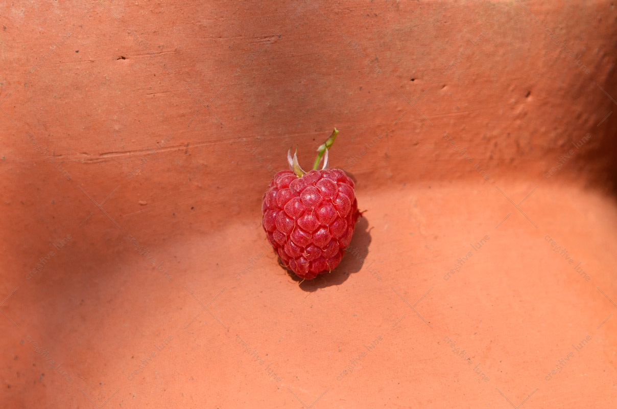Framboise d'été • Photo de fruit à télécharger d'une framboise fraichement cueillie posée sur une poterie en terre cuite qui évoque l'été.